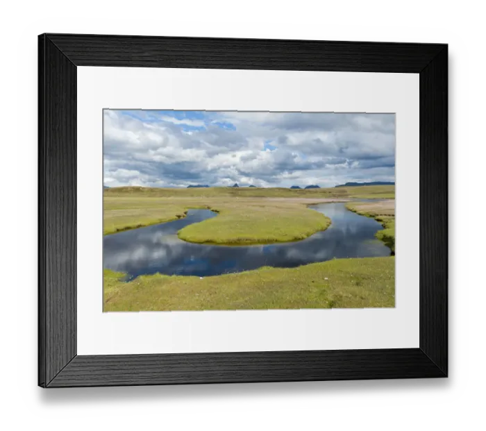 Framed Print : Thrift (Armeria maritima) flowering on saltmarsh at the south end of Achnahaird Bay Framed Print : Thrift (Armeria maritima) flowering on saltmarsh at the south end of Achnahaird Bay