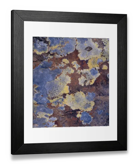 Framed Print : Lichen and rock detail, Coigach / Assynt SWT, Sutherland, Highlands, Scotland, UK, June Framed Print : Lichen and rock detail, Coigach / Assynt SWT, Sutherland, Highlands, Scotland, UK, June