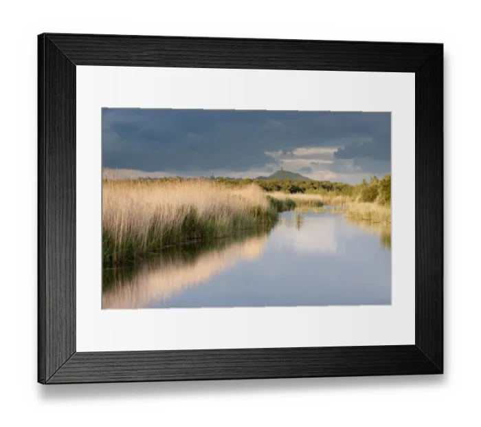 Framed Print : Reed beds and view towards Glastonbury Tor from Ham Wall (RSPB Nature Reserve) late evening light Framed Print : Reed beds and view towards Glastonbury Tor from Ham Wall (RSPB Nature Reserve) late evening light