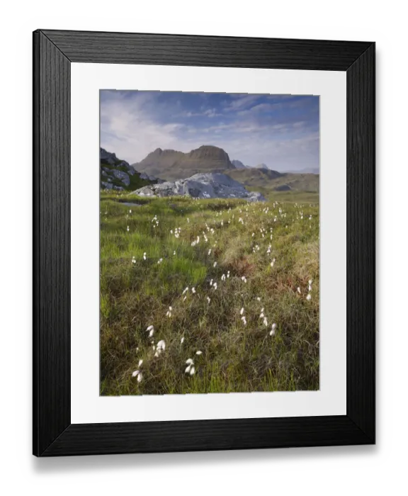 Framed Print : Suilven, early summer morning, Coigach / Assynt SWT, Sutherland, Highlands, Scotland Framed Print : Suilven, early summer morning, Coigach / Assynt SWT, Sutherland, Highlands, Scotland