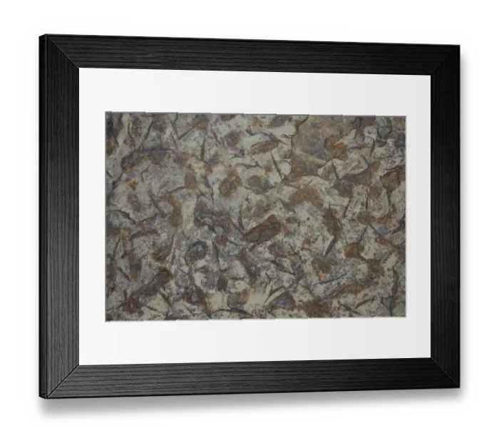 Framed Print : Patterns within Caithness stone, Flow country, Forsinard, Caithness, Highland, Scotland Framed Print : Patterns within Caithness stone, Flow country, Forsinard, Caithness, Highland, Scotland