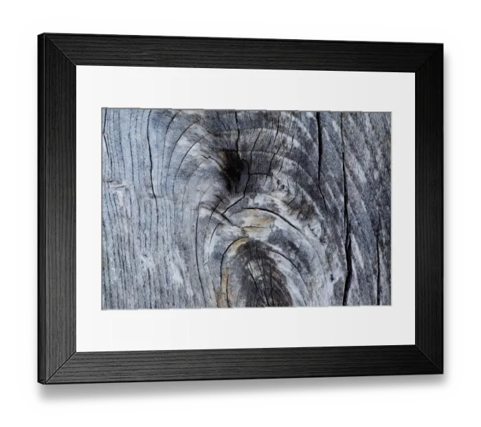 Framed Print : Patterns within weathered wood, Flow country, Forsinard, Caithness, Highland, Scotland Framed Print : Patterns within weathered wood, Flow country, Forsinard, Caithness, Highland, Scotland