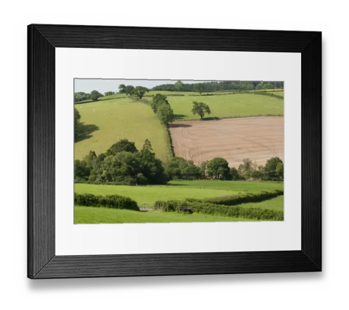 Framed Print : Neighbouring farmland to Denmark Farm Conservation Centre which is grazed and farmed intensively Framed Print : Neighbouring farmland to Denmark Farm Conservation Centre which is grazed and farmed intensively
