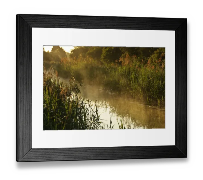 Framed Print : Wicken Lode (waterway), Wicken Fen, Cambridgeshire, UK, June 2011 Framed Print : Wicken Lode (waterway), Wicken Fen, Cambridgeshire, UK, June 2011
