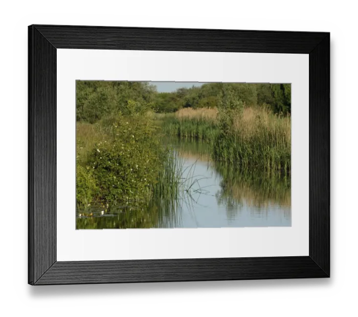 Framed Print : Lode (waterway) on Wicken Fen, Cambridgeshire, UK, June 2011