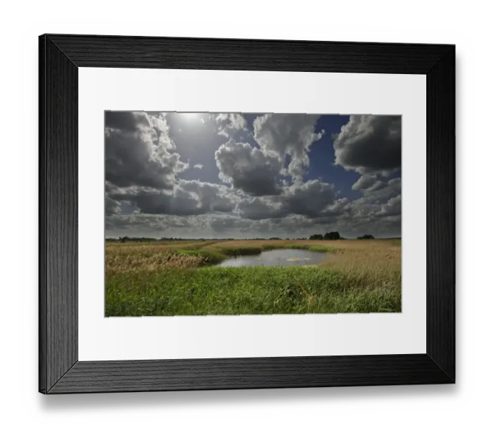 Framed Print : Lakenheath Fen RSPB Reserve, Suffolk, UK, May 2011 Framed Print : Lakenheath Fen RSPB Reserve, Suffolk, UK, May 2011