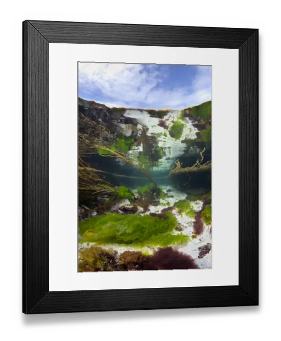Framed Print : Meadow of seaweeds in a shallow channel between islands in the Cairns Of Coll, Island of Coll Framed Print : Meadow of seaweeds in a shallow channel between islands in the Cairns Of Coll, Island of Coll