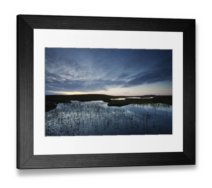 Framed Print : Pools and bog peatland at dawn, Flow Country, Scotland, June Framed Print : Pools and bog peatland at dawn, Flow Country, Scotland, June