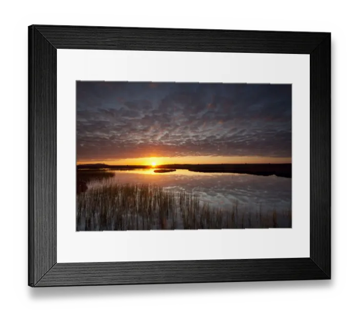 Framed Print : Pools and bog peatland at dawn, Flow Country, Sutherland, Highlands, Scotland, UK Framed Print : Pools and bog peatland at dawn, Flow Country, Sutherland, Highlands, Scotland, UK
