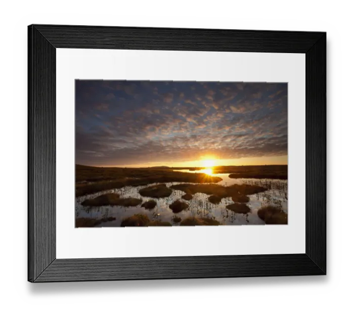 Framed Print : Pools and bog peatland at dawn, Flow Country, Sutherland, Highlands, Scotland, UK Framed Print : Pools and bog peatland at dawn, Flow Country, Sutherland, Highlands, Scotland, UK