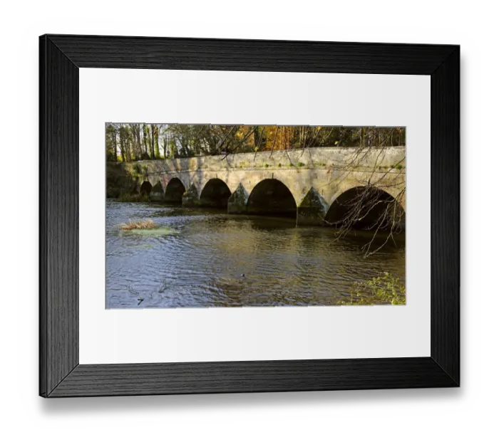 Framed Print : European river otter (Lutra lutra) in river by road bridge, Dorset, UK, November Framed Print : European river otter (Lutra lutra) in river by road bridge, Dorset, UK, November