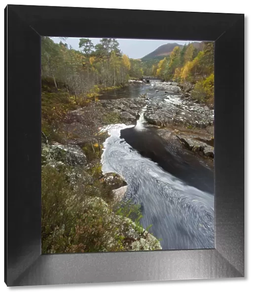 River Affric flowing through Silver birch and Scots pine woodland in autumn, Glen Affric