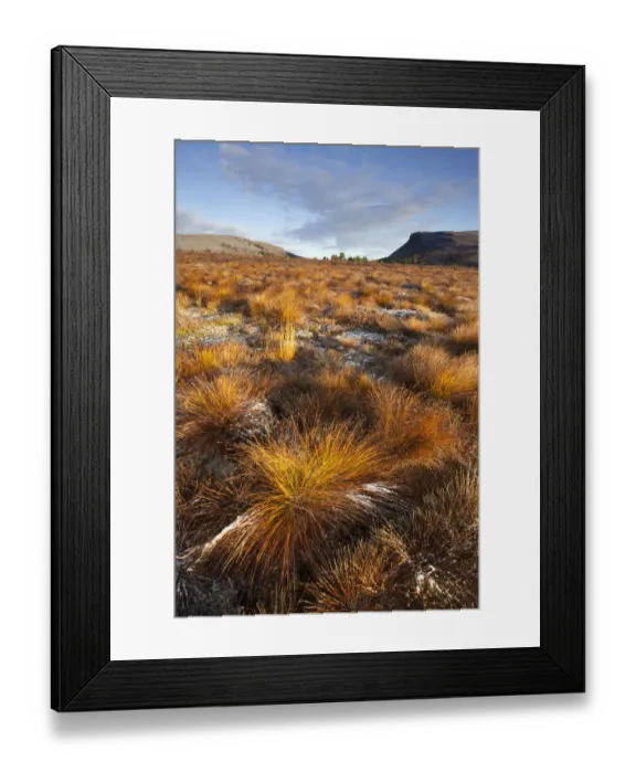 Framed Print : Frosty moorland landscape in Autumn, Cairngorms NP, Scotland, UK, October 2010 Framed Print : Frosty moorland landscape in Autumn, Cairngorms NP, Scotland, UK, October 2010