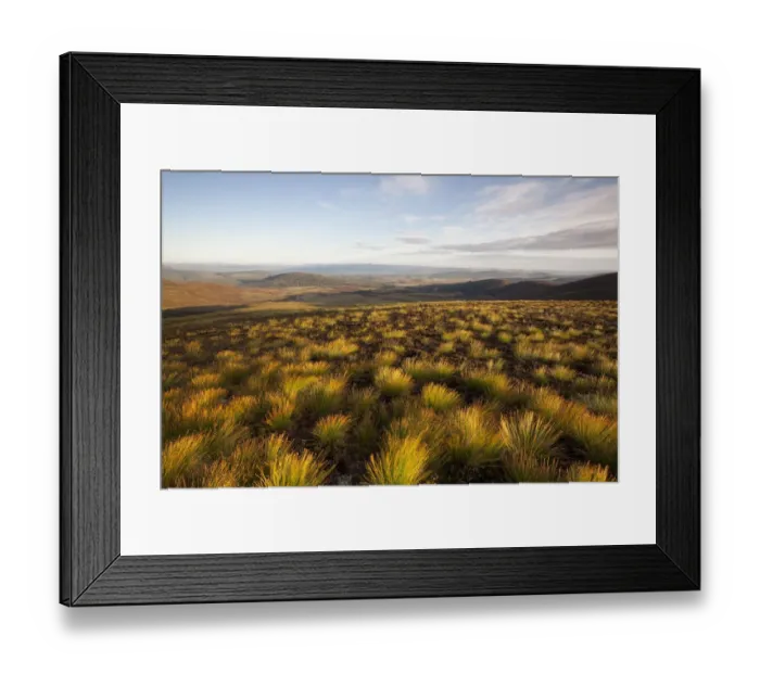 Framed Print : Open moorland above Abernethy Forest, Cairngorms NP, Scotland, UK, August 2011 Framed Print : Open moorland above Abernethy Forest, Cairngorms NP, Scotland, UK, August 2011