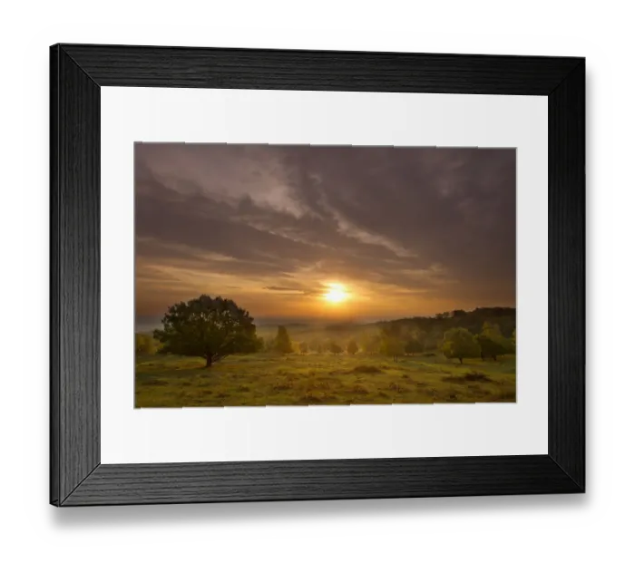 Framed Print : Sun rising over hillside with trees, Beacon Hill Country Park, The National Forest Framed Print : Sun rising over hillside with trees, Beacon Hill Country Park, The National Forest