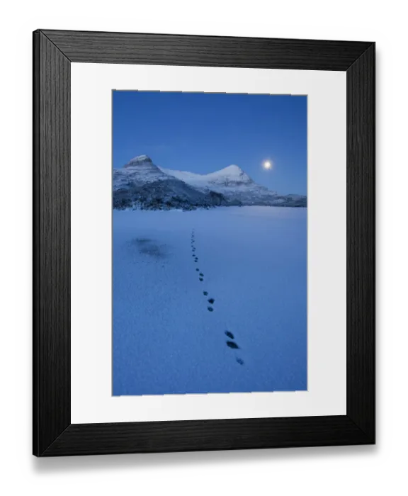 Framed Print : European river otter (Lutra lutra) footprints crossing frozen Loch Lurgainn at dawn Framed Print : European river otter (Lutra lutra) footprints crossing frozen Loch Lurgainn at dawn