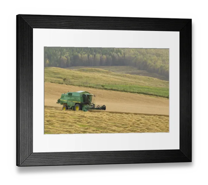 Framed Print : Combine harvester harvesting Barley (Hordeum vulgare) crop, Strathspey, Highlands