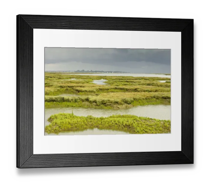 Framed Print : View of regenerated saltmarsh landscape around Abbots Hall Farm Nature Reserve at high Framed Print : View of regenerated saltmarsh landscape around Abbots Hall Farm Nature Reserve at high