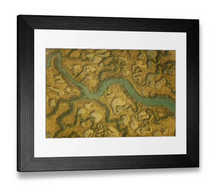 Framed Print : View of saltmarsh habitat from the air, showing tidal creek system, Abbotts Hall Farm Framed Print : View of saltmarsh habitat from the air, showing tidal creek system, Abbotts Hall Farm