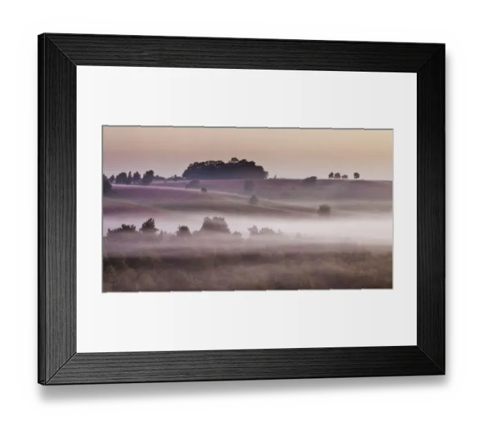 Framed Print : View over New Forest lowland heathland from Rockford Common at dawn, with Bell heather Framed Print : View over New Forest lowland heathland from Rockford Common at dawn, with Bell heather