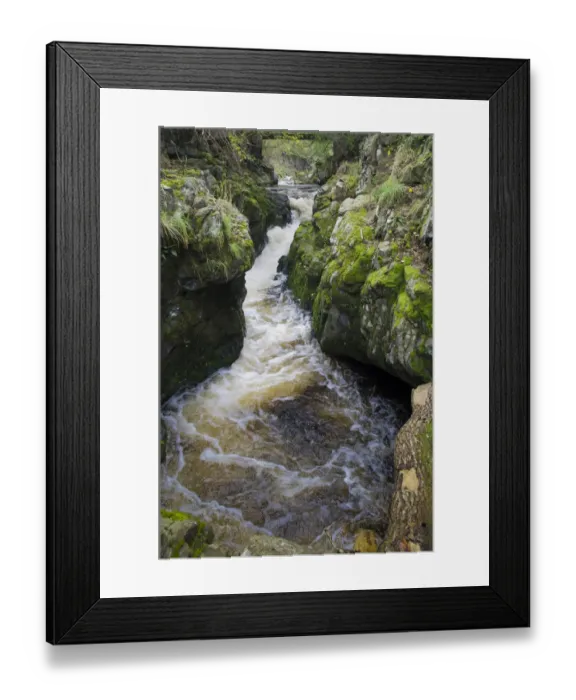 Framed Print : Tributary of the River Tweed where Brown trout (Salmo trutta) and Atlantic salmon Framed Print : Tributary of the River Tweed where Brown trout (Salmo trutta) and Atlantic salmon