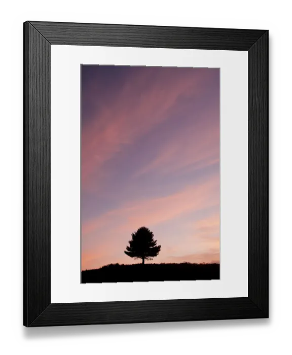 Framed Print : Tree silhoueted on the horizon at sunset, Arne RSPB reserve, Dorset, England, UK, July Framed Print : Tree silhoueted on the horizon at sunset, Arne RSPB reserve, Dorset, England, UK, July