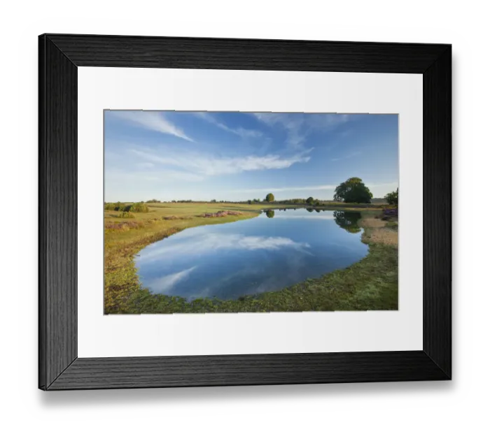 Framed Print : View over New Forest flood pool at Fritham Cross at dawn, New Forest National Park Framed Print : View over New Forest flood pool at Fritham Cross at dawn, New Forest National Park