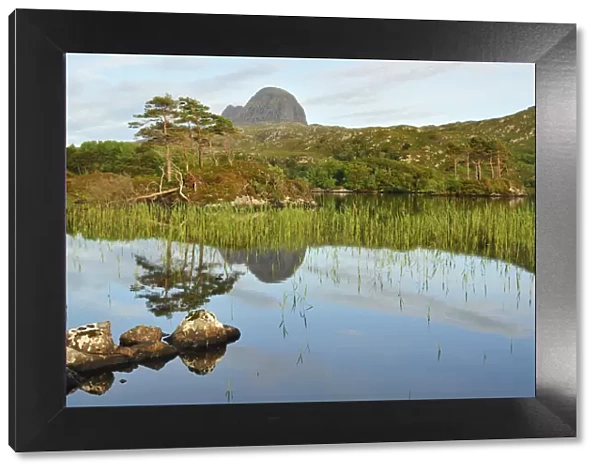 A view of Suilven over a highland loch with islands of scots pine and birch. Sutherland