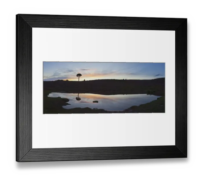 Framed Print : Reflections in heathland pool. Vales Moor, Burley, New Forest National Park, Hampshire Framed Print : Reflections in heathland pool. Vales Moor, Burley, New Forest National Park, Hampshire