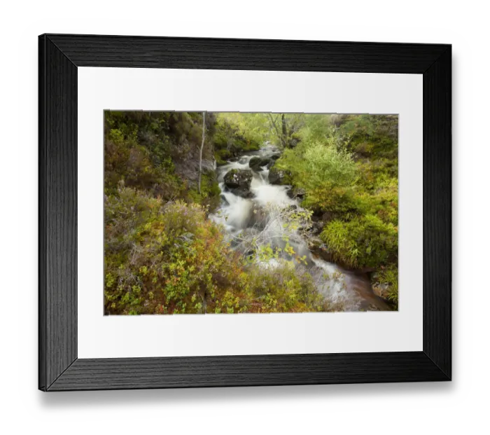Framed Print : Stream running through wooded gorge. Abernethy NNR, Cairngorms National Park, Scotland