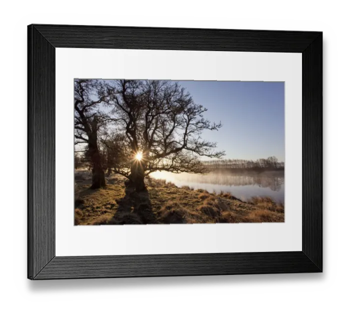 Framed Print : River Spey in spring, sun rising behind trres, Cairngorms National Park, Scotland Framed Print : River Spey in spring, sun rising behind trres, Cairngorms National Park, Scotland