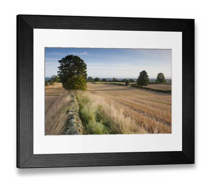 Framed Print : Stubble left in fields after harvest, Haregill Lodge Farm, Ellingstring, North Yorkshire Framed Print : Stubble left in fields after harvest, Haregill Lodge Farm, Ellingstring, North Yorkshire