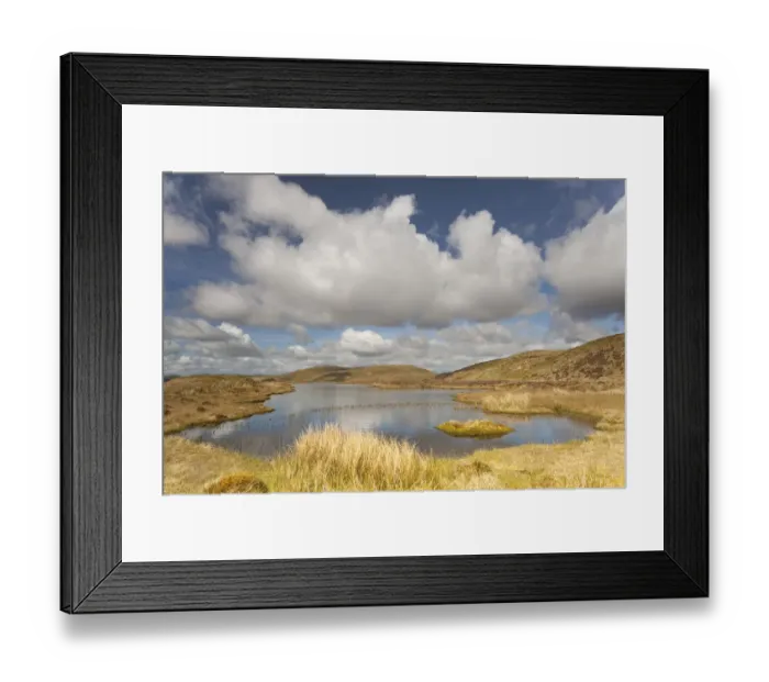 Framed Print : Upland peatbog pool. Pumlumon Fawr, Cambrian Mountains, Wales, January 2012 Framed Print : Upland peatbog pool. Pumlumon Fawr, Cambrian Mountains, Wales, January 2012