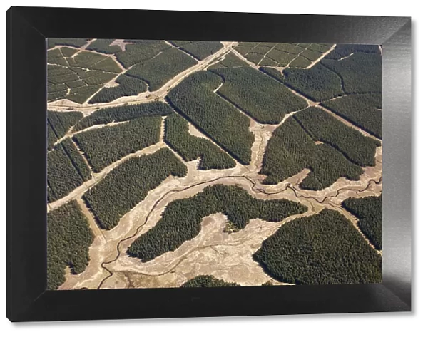 Aerial view of blocks of forestry plantation planted on blanket bog, Forsinard, Caithness