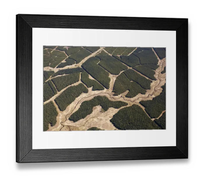 Framed Print : Aerial view of blocks of forestry plantation planted on blanket bog, Forsinard, Caithness Framed Print : Aerial view of blocks of forestry plantation planted on blanket bog, Forsinard, Caithness