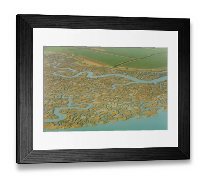 Framed Print : Saltmarsh and reclaimed agricultural land from the air. Abbotts Hall Farm, Essex Framed Print : Saltmarsh and reclaimed agricultural land from the air. Abbotts Hall Farm, Essex