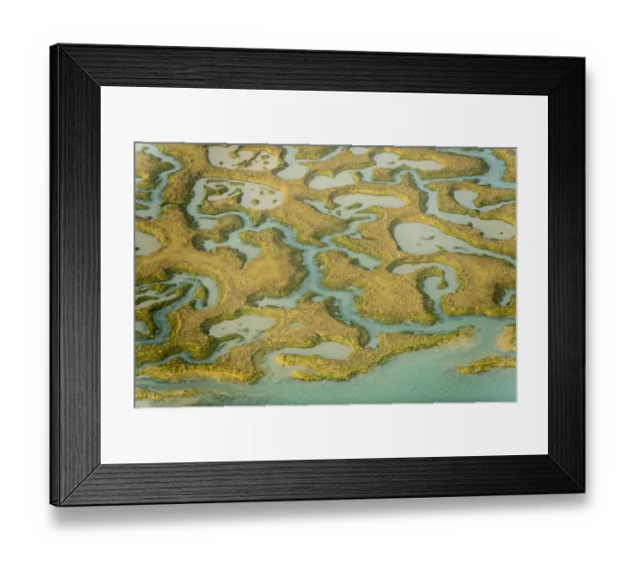Framed Print : Water channels making patterns in saltmarsh, seen from the air. Abbotts Hall Farm