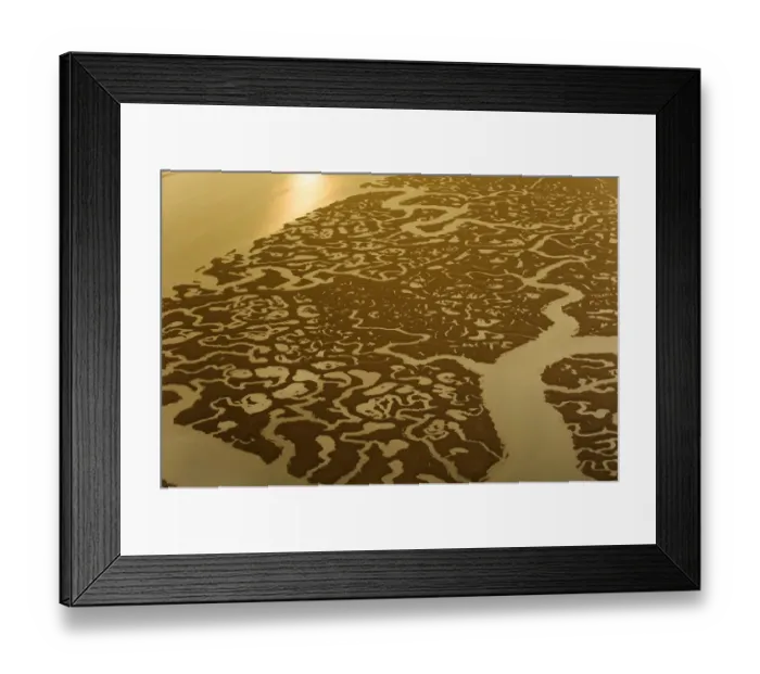 Framed Print : Water channels making patterns in saltmarsh, seen from the air. Abbotts Hall Farm Framed Print : Water channels making patterns in saltmarsh, seen from the air. Abbotts Hall Farm
