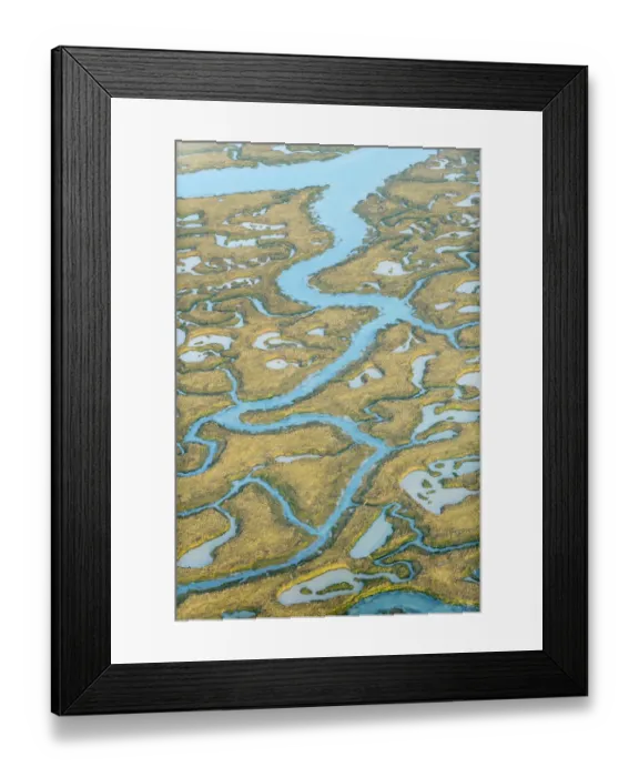 Framed Print : Water channels making patterns in saltmarsh, seen from the air. Abbotts Hall Farm Framed Print : Water channels making patterns in saltmarsh, seen from the air. Abbotts Hall Farm