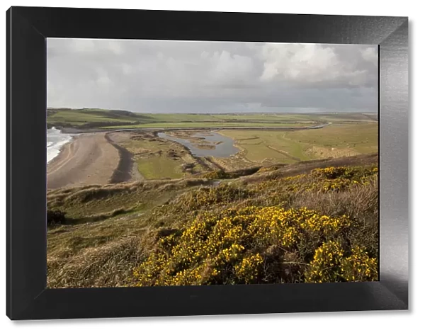 Chalk downland and river estuary. Seven Sisters Country Park, South Downs, England