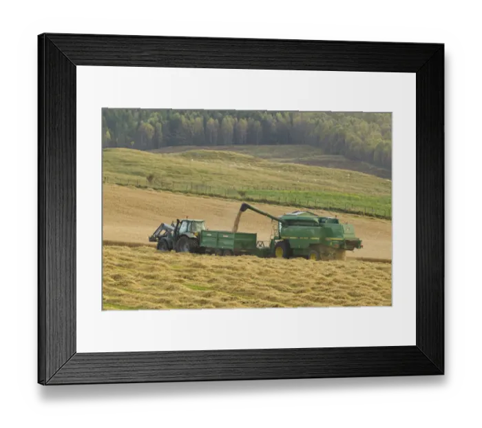 Framed Print : Harvesting barley crop in late summer, Scotland, UK Framed Print : Harvesting barley crop in late summer, Scotland, UK