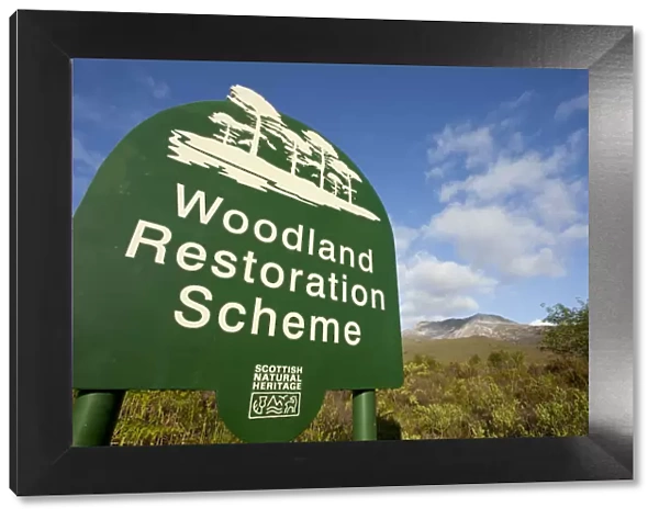 Woodland restoration scheme, sign and view of habitat with Beinn Eighe in background