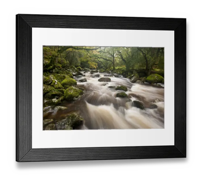 Framed Print : RF- River Plym flowing through Dewerstone Wood, Dartmoor National Park, Devon, England Framed Print : RF- River Plym flowing through Dewerstone Wood, Dartmoor National Park, Devon, England