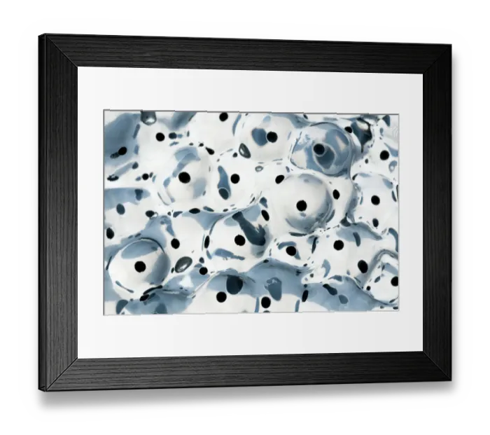 Framed Print : Frog spawn {Rana temporaria} just a 1-2 days old, backlit on lightbox, Cornwall, UK Framed Print : Frog spawn {Rana temporaria} just a 1-2 days old, backlit on lightbox, Cornwall, UK
