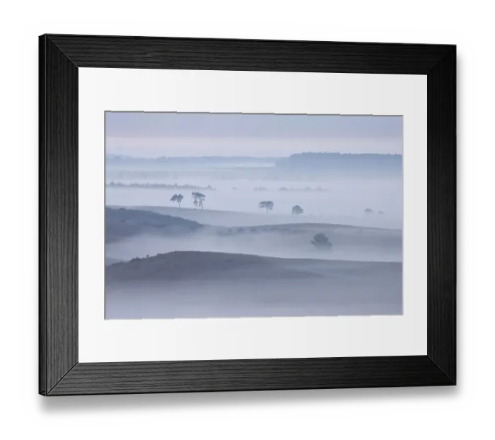 Framed Print : View over New Forest lowland in mist at dawn. Vereley Hill, Burley, New Forest National Park