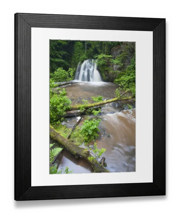 Framed Print : View of a waterfall with a fallen tree in the foreground, Fairy Glen RSPB reserve Framed Print : View of a waterfall with a fallen tree in the foreground, Fairy Glen RSPB reserve
