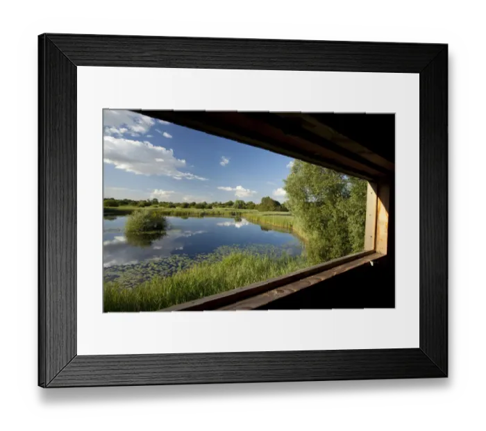 Framed Print : View through window of birdwatching hide, Woodwalton Fen National Nature Reserve Framed Print : View through window of birdwatching hide, Woodwalton Fen National Nature Reserve