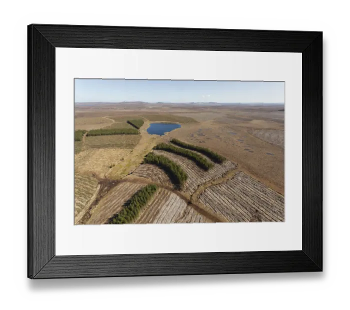 Framed Print : Aerial view of Forsinard Flows blanket bog, with conifer plantations, Forsinard, Caithness Framed Print : Aerial view of Forsinard Flows blanket bog, with conifer plantations, Forsinard, Caithness