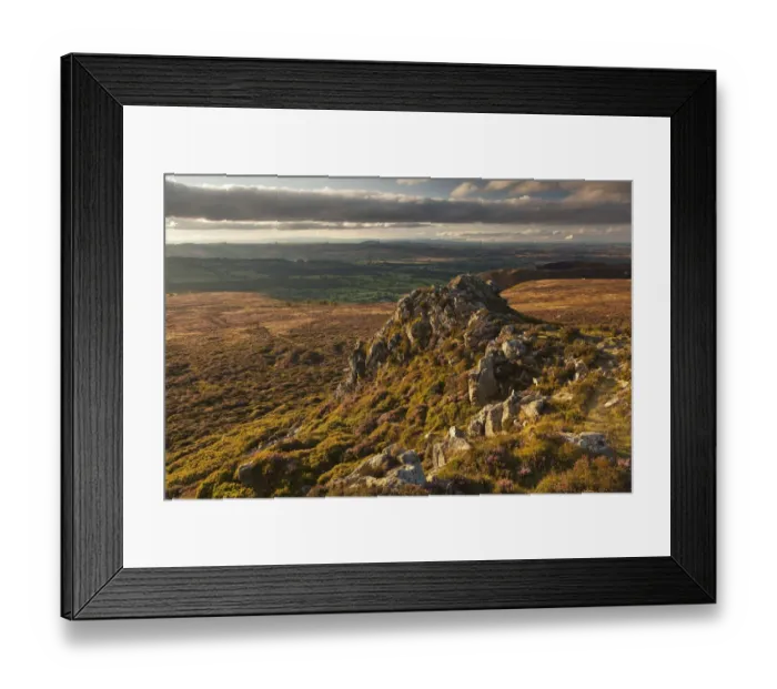 Framed Print : Rock outcrop formed of Ordovician quartzite on Stiperstones Ridge, Stiperstones National Framed Print : Rock outcrop formed of Ordovician quartzite on Stiperstones Ridge, Stiperstones National