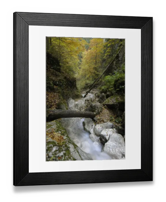 Framed Print : Mountain brook flowing through woodland, Valea Prapastiilor, Piatra Craiului National Park Framed Print : Mountain brook flowing through woodland, Valea Prapastiilor, Piatra Craiului National Park